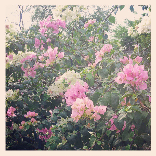 2013-06-26_1372250193