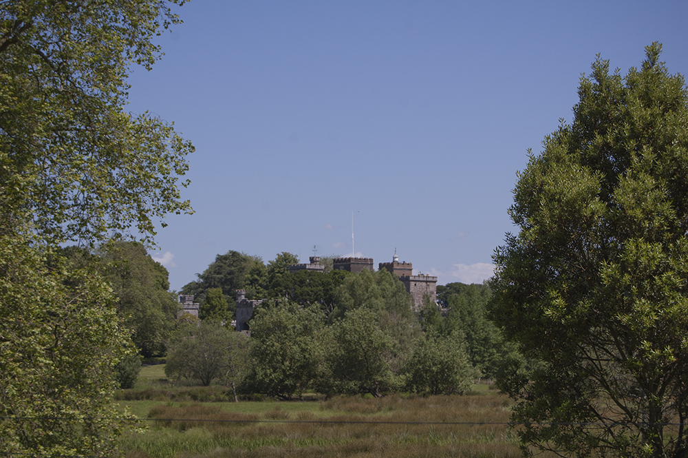 Powderham Castle in Devon