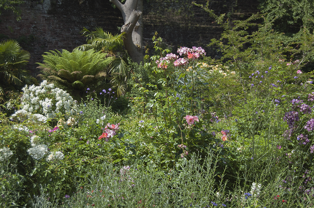 Near the Castle Gardens in Exeter